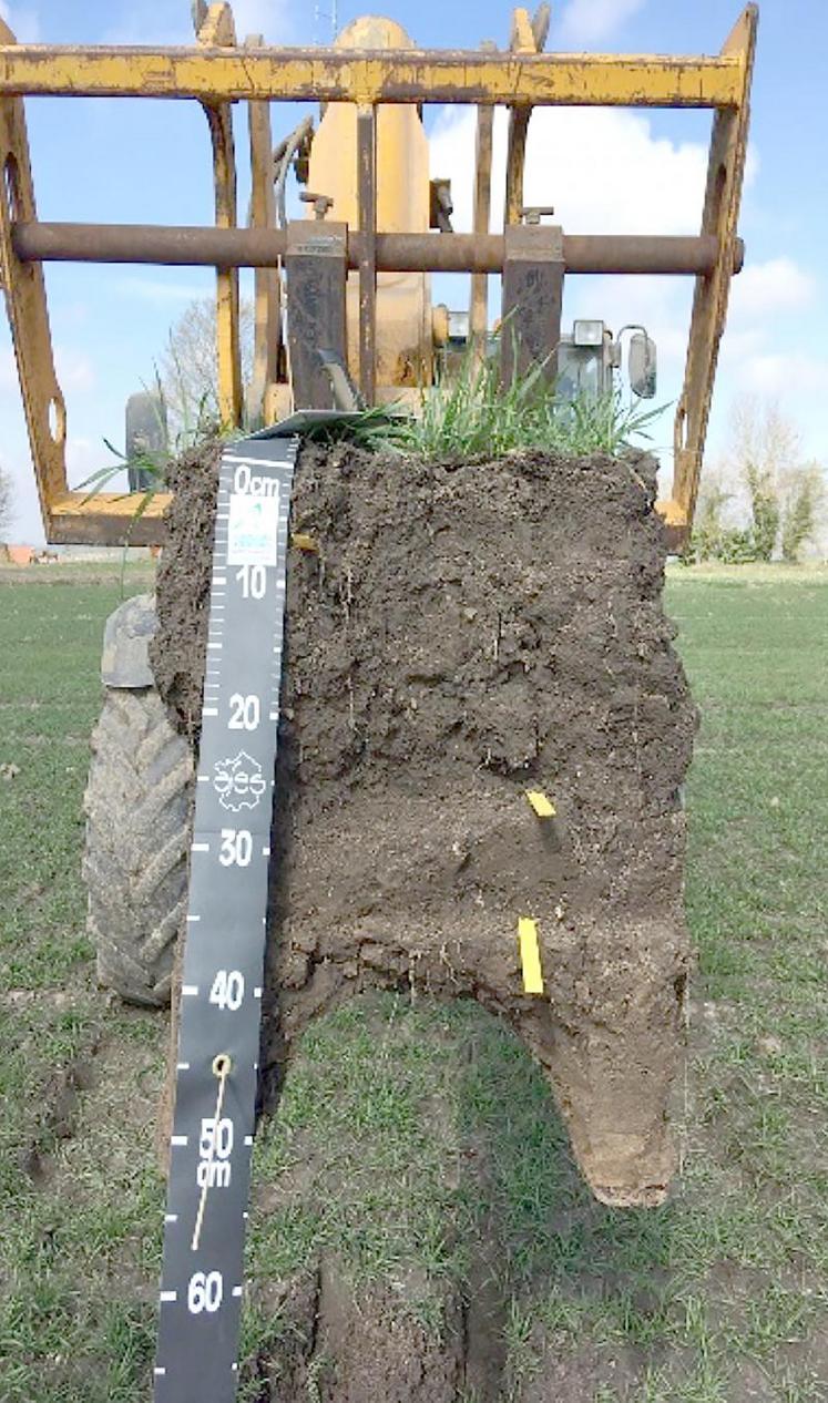Le suivi de la vie biologique des sols se réalise par une analyse physico-chimique des sols, une analyse de la terre, des comptages et identification des vers de terre, le calcul de la teneur et de la biomasse microbienne, l’activité enzymatique, le suivi de la décomposition des pailles et l’état structural des sols.