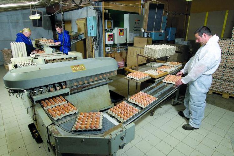 A la baisse de production consécutive à la mise aux normes bien être des poules pondeuses, a succédé rapidement une surproduction d'oeuf.