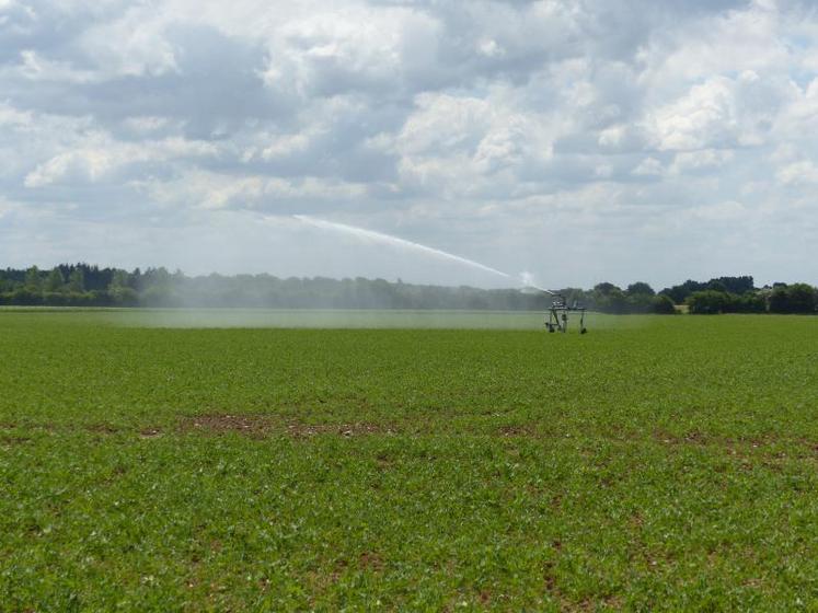 Les producteurs éprouvent «la crainte que les cinq pays n'atteignent pas le rendement moyen».