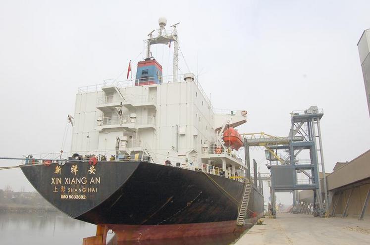 Les exportations restent portées vers l’Arabie saoudite (39 % des ventes au 7 janvier), suivie par la Chine (28 %).