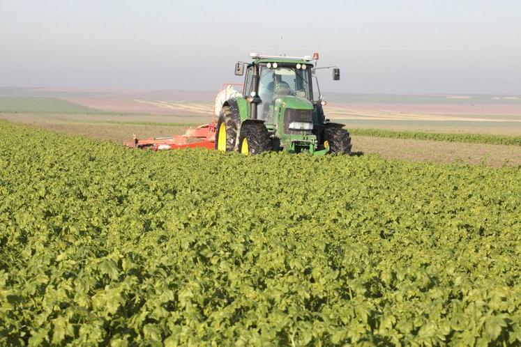 Certaines espèces sont touchées par le gel de façon quasi systématique, mais d’autres, comme la moutarde, sont encore en place en sortie d’hiver. 