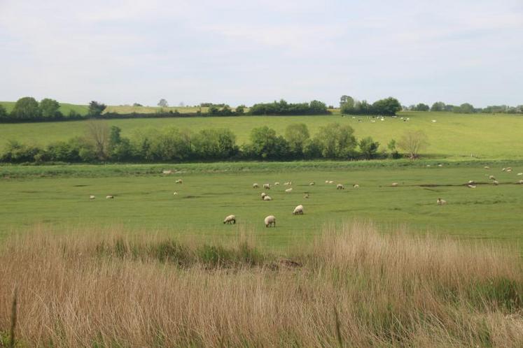 La plus forte demande des consommateurs en agneaux de prés salés est au printemps. Or, la production débute en juillet. 