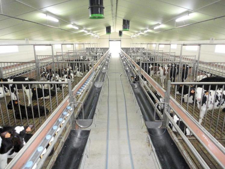 La filière veau de boucherie a intégré le réseau national Inosys afin de produire et suivre des modèles de production 
et diffuser des repères pour le conseil et le pilotage de la filière.