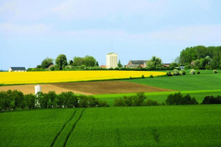 Les aides seront attribuées de manière beaucoup plus forfaitaire, quelle que soit la production.