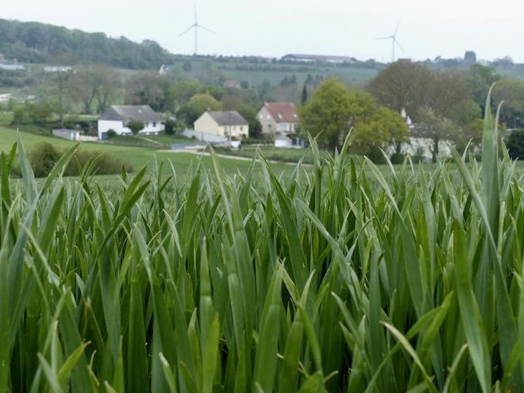 Le diagnostique est une cartographie réelle de l’occupation de l’espace à un moment donné.