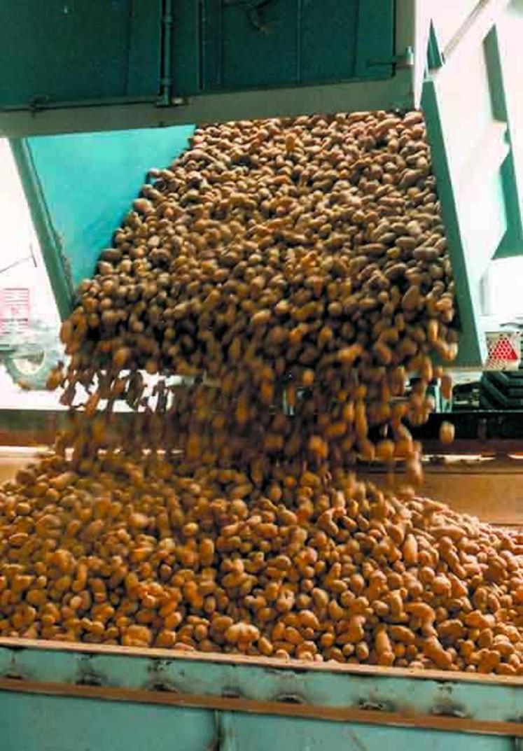 La fin de campagne devrait intervenir vers le 10 février 2013.