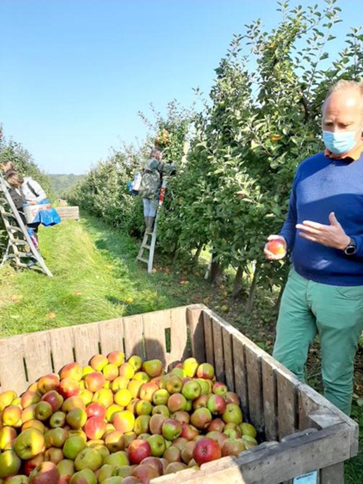 Bernard Nicolaï, en pleine récolte de ses pommes au Domaine de Moismont, revient sur les différentes étapes de production.