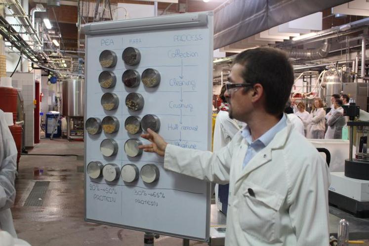 Extractis et Improve sont spécialisées dans le développement de la biomasse végétale.