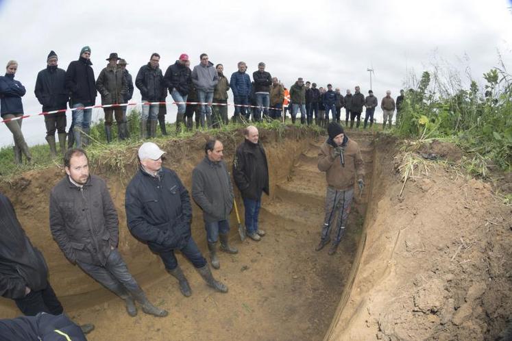 Victor Le Forestier, agronome, explique toute la richesse que peuvent apporter les couverts végétaux au sol 