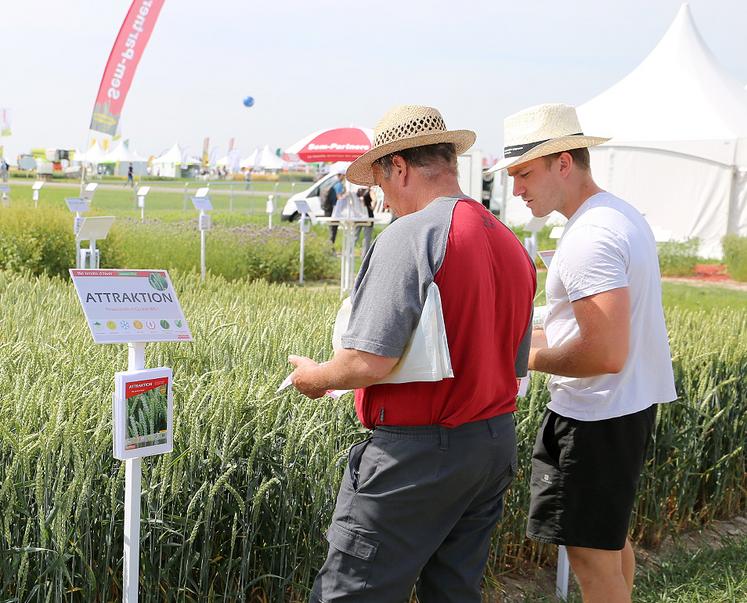 Des centaines de vitrines végétales, d’experts, d’exposants font des Culturales un rendez-vous de référence pour les filières de production des grandes cultures.