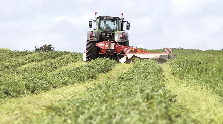 Parmi les points clés de la réussite de la luzerne : celui de la récolte. 