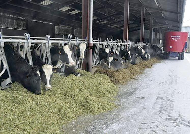 L’apport de luzerne dans la ration permet un réel gain d’autonomie alimentaire. 