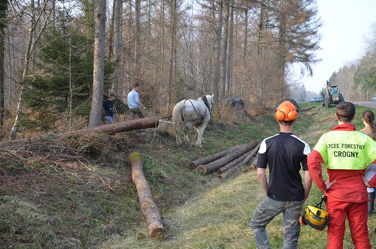 Le Bachelor management option Bois et dérivés se composera à la fois de cours théoriques et de pratiques mais aussi de visites et de rencontres avec  des professionnels, transformateurs, scieries, ainsi que les acteurs du bois  privés, comme publics. 