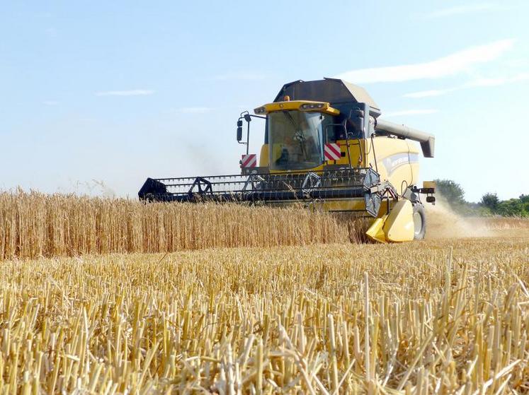 Selon Arvalis, 35 millions de tonnes de blé tendre devraient être récoltées contre 36,6 en 2017.