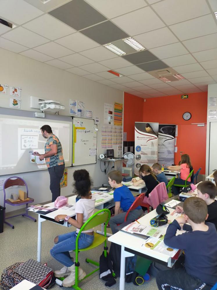 L’organisation d’ateliers pédagogiques dans les écoles permet de faire découvrir le monde merveilleux des hirondelles aux enfants. 