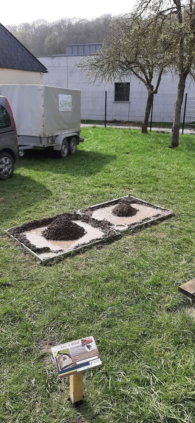 Des bacs de forçage pour endives réformés servent de bac à boue utiles aux hirondelles pour construire leur nid. 