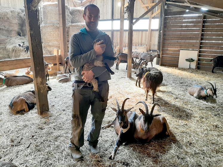 Le troupeau de Xavier Philippe compte actuellement 70 chèvres. Un chiffre que l’éleveur estime trop important et qu’il envisage de réduire, sans compromettre la viabilité de sa ferme. 
