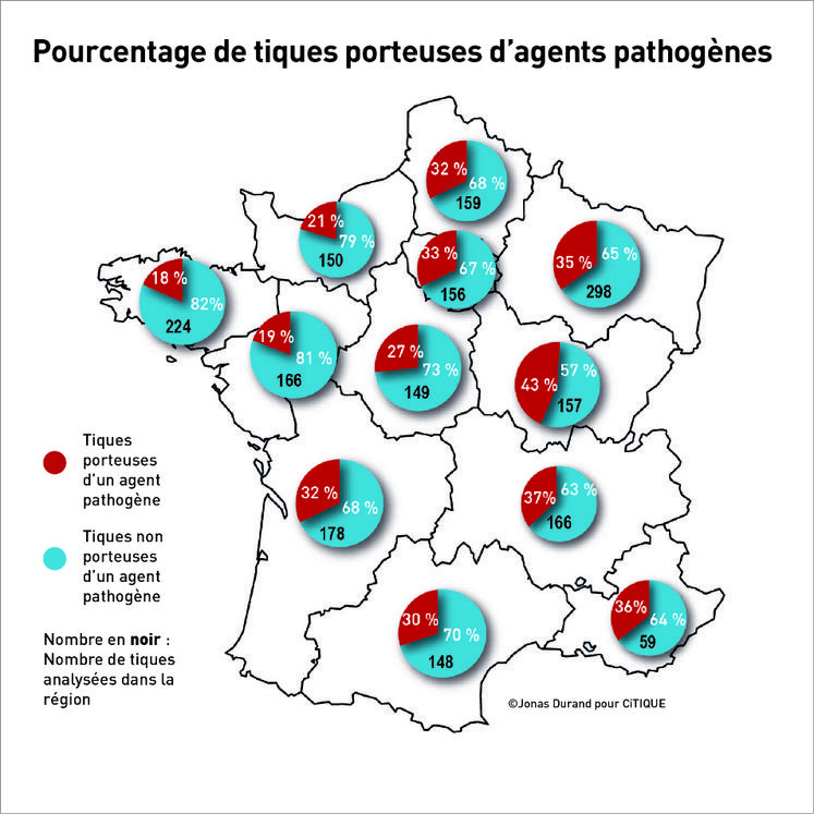 Compte tenu du nombre important de tiques porteuses d’agents pathogènes, la prévention doit être particulièrement forte dans des départements comme ceux du nord de la France.