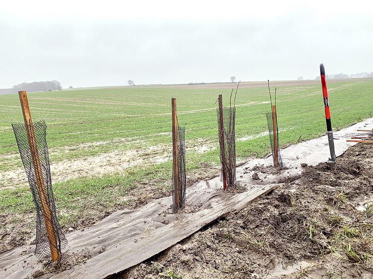 Les présidents du Conseil départemental de la Somme et de la fédération départementale des chasseurs ont participé au chantier de plantation de haies arbustives, dans l’ouest du département. Une opération qui en appelle d’autres pour la reconquête de la biodiversité. 