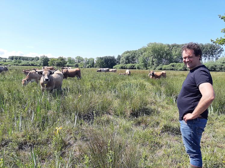 En traversant le lieu-dit «le plat marais», les randonneurs auront sûrement la chance de croiser les vaches de race aubrac d’Alexandre Loye dans un cadre exceptionnel. 