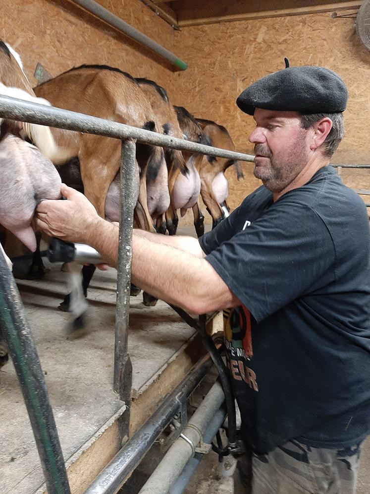 Éric Chauffeton élève des chèvres (et des brebis) depuis 14 ans à Reilhac pour la fabrication de fromages, dont le Rocamadour.