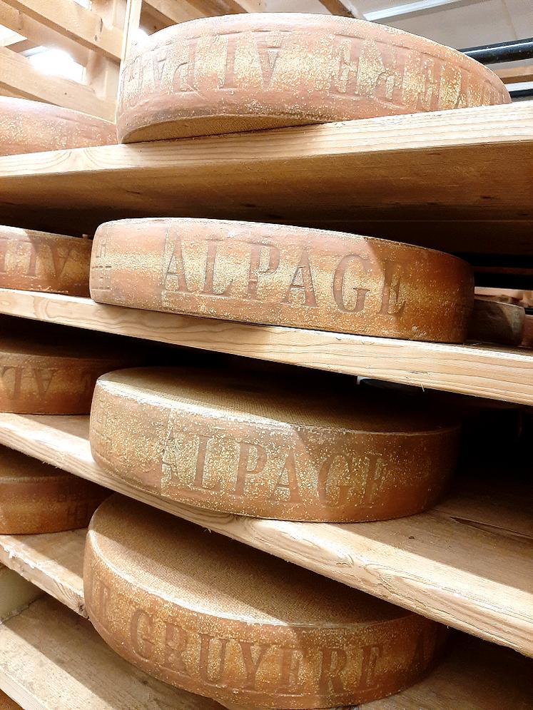 Produite en alpage ou en plaine, chaque meule de gruyère suisse AOP pèse 35 kilos après une période d’affinage de plusieurs mois. 