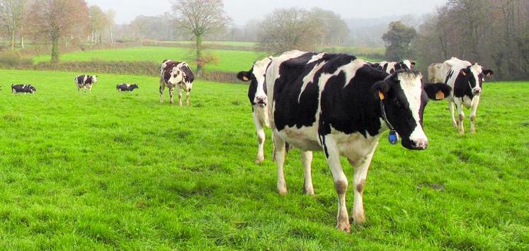 Le prix du lait permettant d’équilibrer le compte de l’exploitation va de 280 à 310e/1000L selon les ateliers.