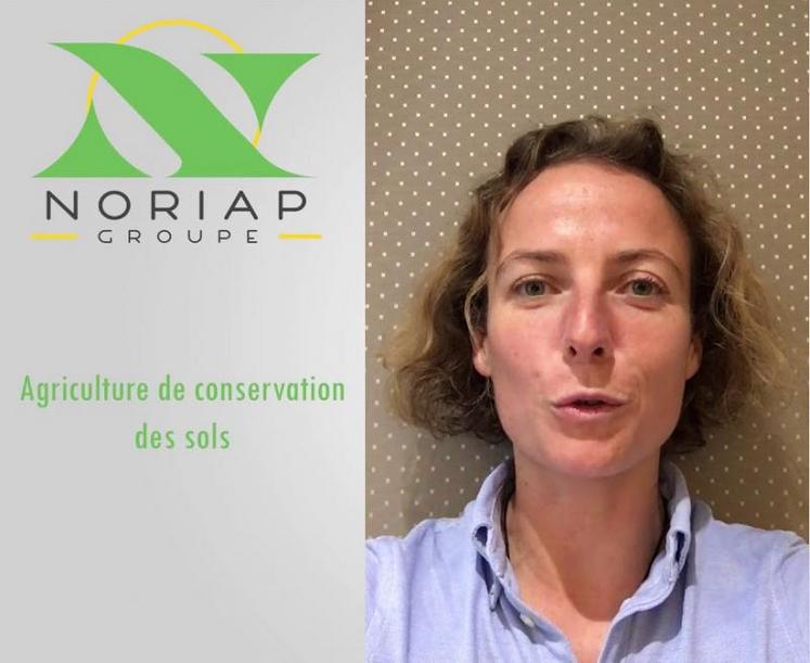 Sarah Singla, agricultrice et spécialiste de l'agriculture de conservation, est l'invitée de Noriap après avoir contribué à la formation d'une centaine d'agriculteurs adhérents de la coopérative en ACS en 2019.