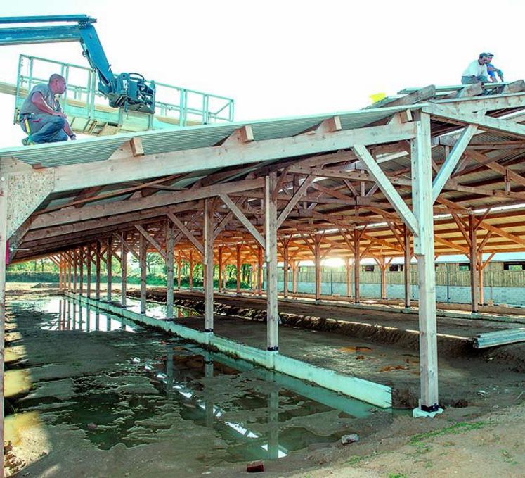 Avant de se lancer dans de grands projets, il faut tout prendre en compte. Un regard extérieur est souvent utile 
et toujours bienvenu.