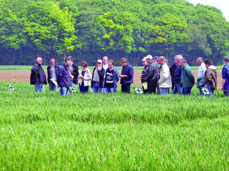 Aubvillers-Sourdon : visite de la plateforme gestion responsable, sur une parcelle d’essais où a été testée la nouvelle matière active anti-graminée utilisable sur blé, à l’automne.