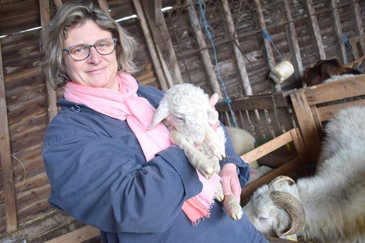 Claire Beller s’est lancée dans l’élevage de brebis de race Basco-béarnaise en avril 2017.