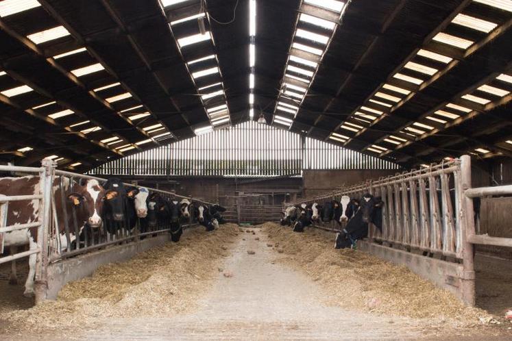 Le Gaec de Belval a opté pour une conduite en deux lots pour assurer l’efficacité du système.