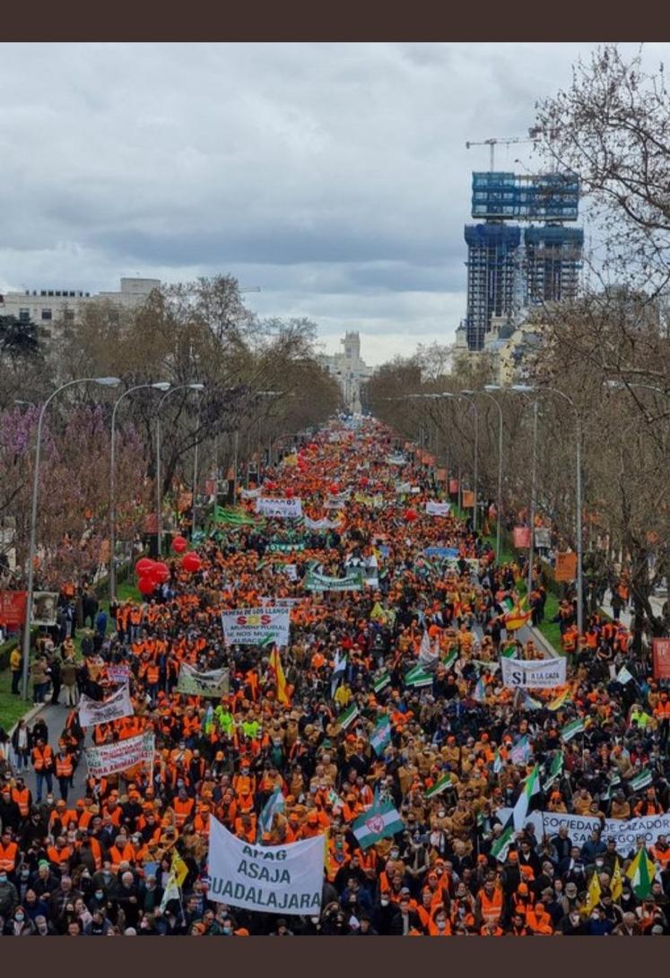 Madrid manifestation