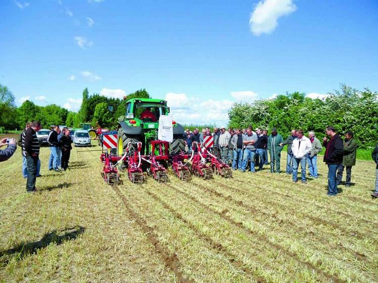 Les bandes de semis sont travaillées par des éléments étroits pour les cultures à fort espacement entre rangs.