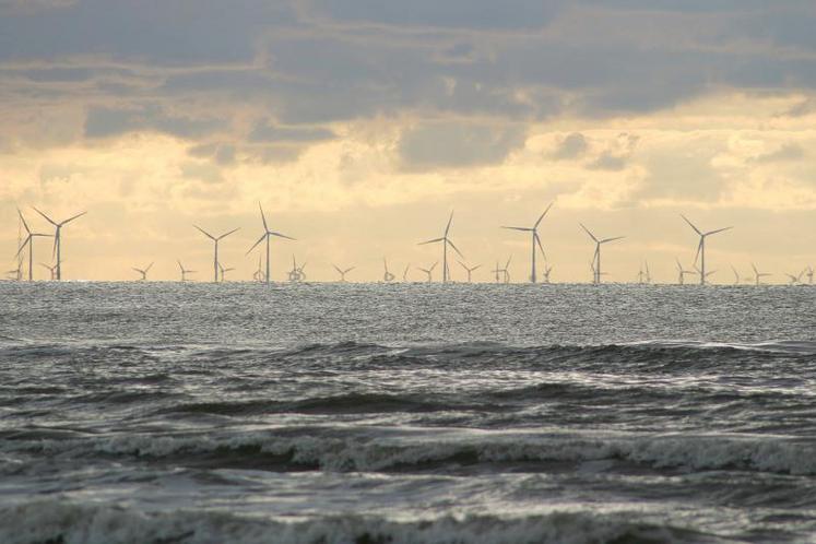 Un projet de parc éolien offshore de ce genre se précise de plus en plus, au large de Dieppe-Le Tréport.