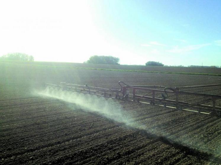 L’efficacité des herbicides risque d’être affecté par les conditions sèches.