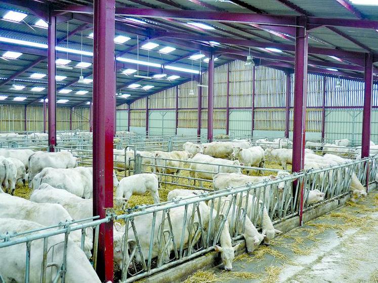 Le Gaec Voiret à Andelain (02).