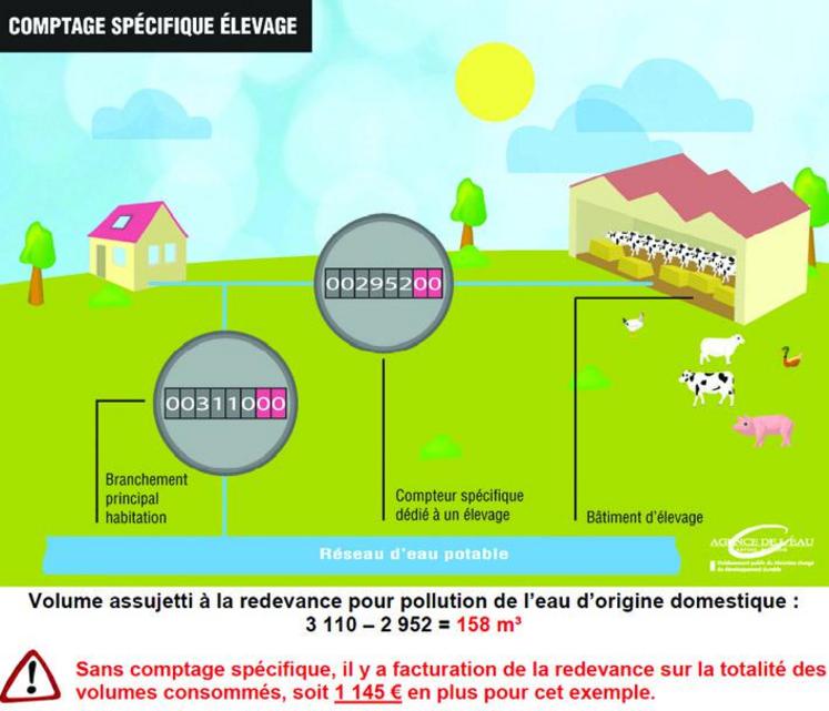 Schéma d'installation d'un compteur spécifique pour les installations d'élevage (Source Agence de l’Eau Artois Picardie).