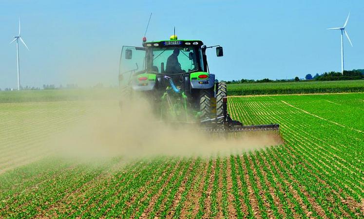 La houe rotative permet de passer sur 100 % de la surface tant sur les parcelles de pois que de légumes verts.