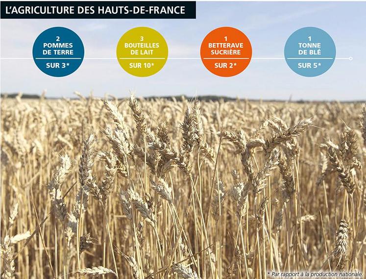 Le résultat économique de la branche agricole est de plus en plus volatile et les besoins en main-d’œuvre sont croissants : l’emploi agricole est en repli de 1,8 % depuis 2010 dans les Hauts-de-France. 
