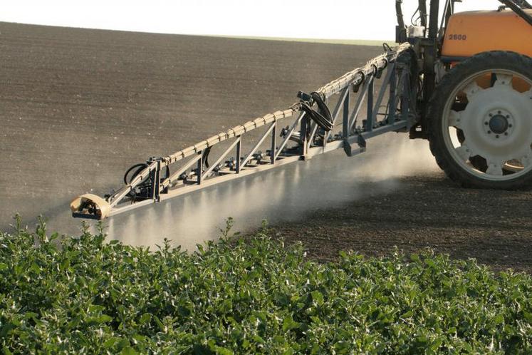 Il est question de séparer complètement toutes les activités de vente de phytos et de conseil.