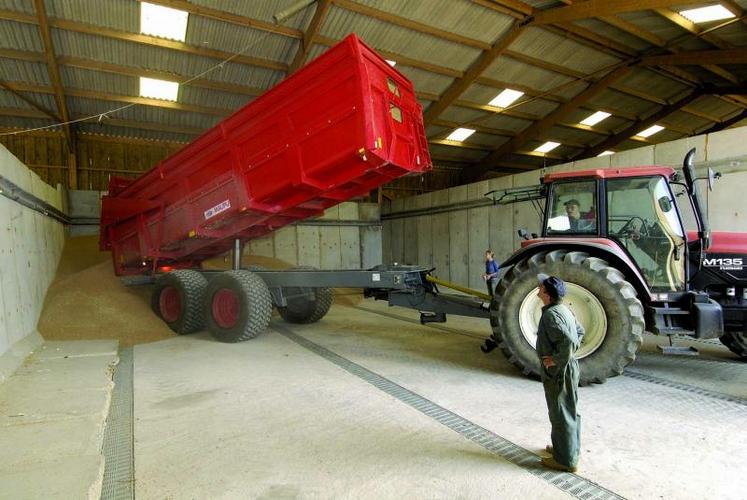 Le nettoyage et le séchage sont nécessaires pour un stockage de grains germés et éventuellement humides