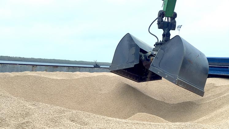 Dans l’ensemble, la plupart des prix des produits agricoles sont revenus à leur niveau d’avant crise, voire à un niveau supérieur. C’est le cas, entre autres, des céréales. 
