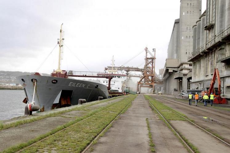 La France devrait livrer à elle seule un tiers des grains d’origine européenne destinés à l’exportation durant la campagne 2019-2020.