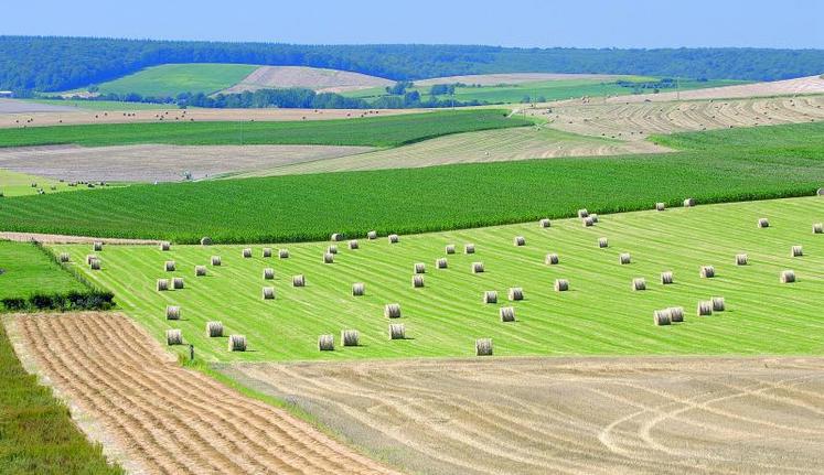 Dans la Somme, le prix moyen triennal des terres libres atteint 9  050 €/ha.