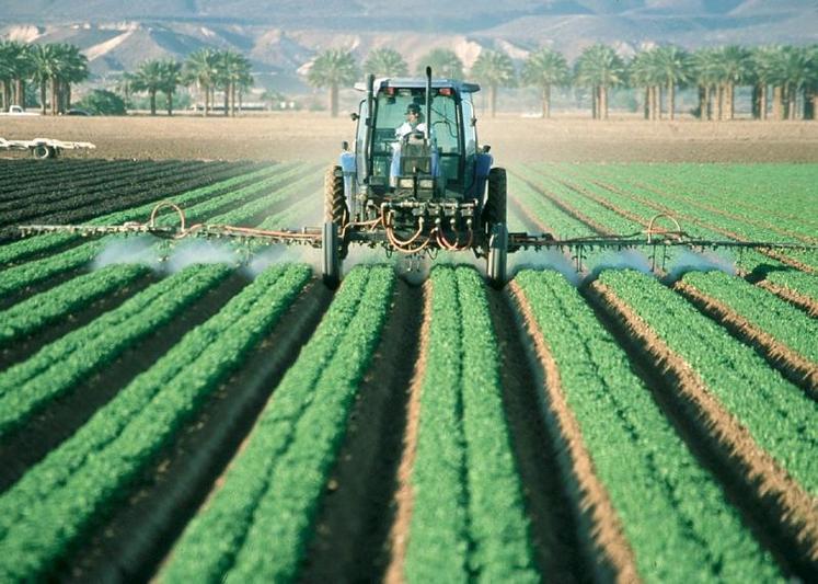 Les agriculteurs français sont exposés à une concurrence qui, à l’autre bout du monde, continue d’utiliser du 2,4-D 
dans ses champs.