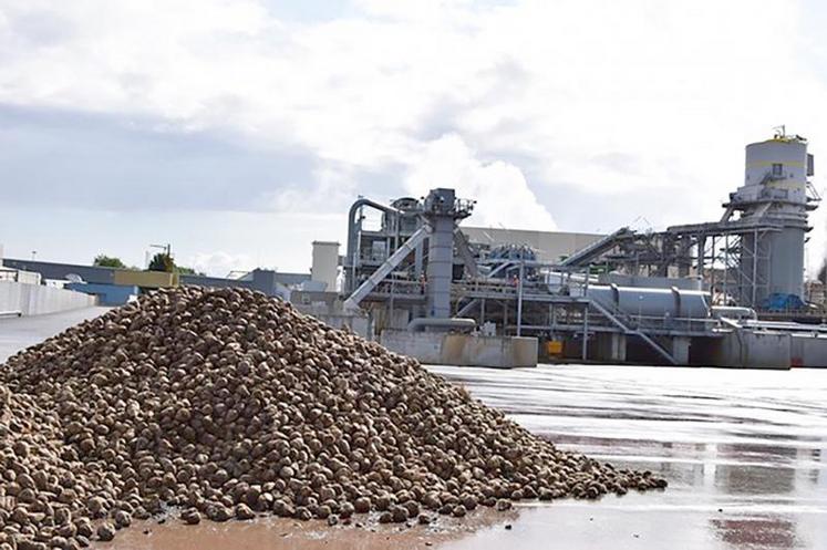 Le groupe Saint Louis Sucre affirme avoir d’ores et déjà atteint le volume minimum de betteraves nécessaire au bon 
fonctionnement de l’usine de Roye pour la campagne 2020.