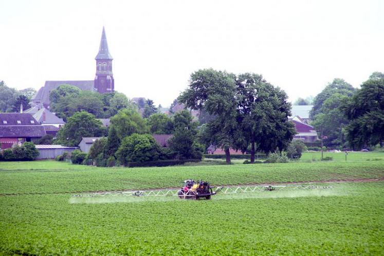 «On ne peut pas faire zéro pesticides dans l’agriculture aujourd’hui, si je dis ça aux agriculteurs, que restera-t-il en termes de production ?» a déclaré le ministre de l'Agriculture, Stéphane Le Foll, pour qui le changement de modèle est nécessaire mais c’est «une mutation profonde, qui prendra un peu de temps».