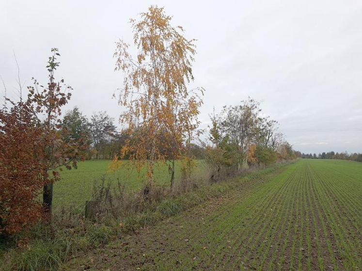 Depuis 2020, les pratiques agroforestières ont leur concours au salon de l’agriculture.