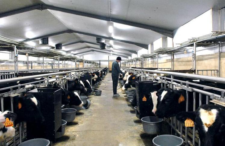 Le niveau d’exposition des veaux aux antibiotiques est passé de 5,74 en 2013 à 3,41 en 2016-2017, soit une baisse 
significative de 40 %.